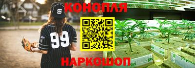 ALPHA PVP Бийск