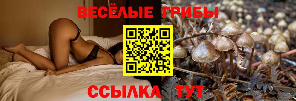 ГАШ Жуковский